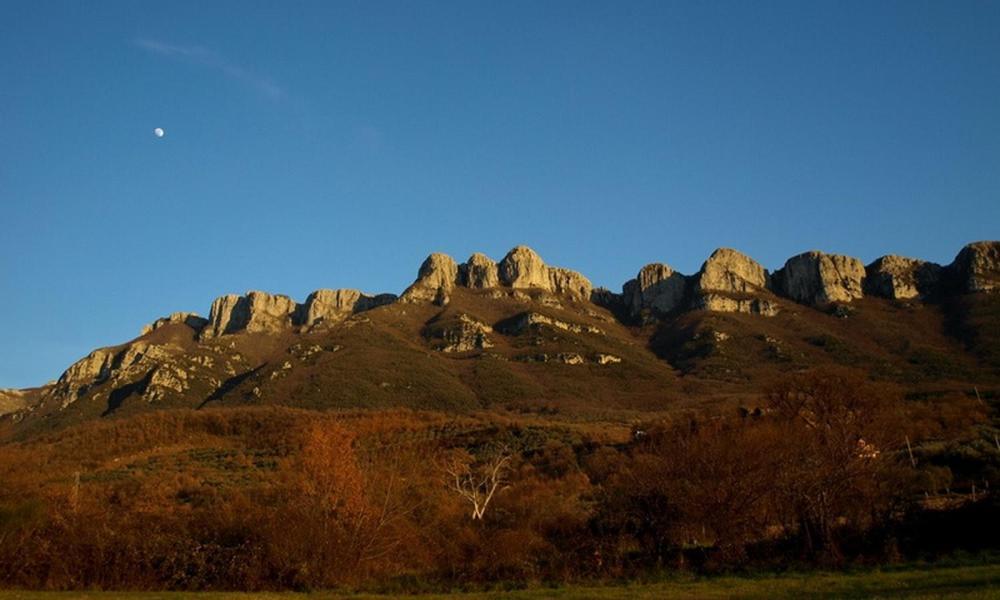 Agriturismo Al Gallo Verde Altavilla Silentina Екстер'єр фото
